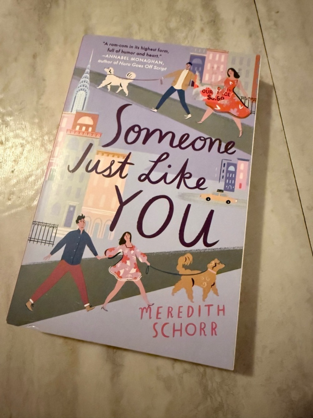 Someone Just Like You by Meredith Schorr - Pastel Illustrated Paperback